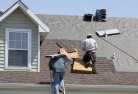 Ringbarkskylights-2.jpg; ?>
